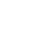 icon2 icon2